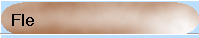 Bouton_Fle.png